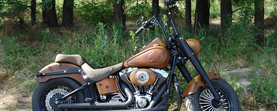 BigTwin Repair Gatage  Проект от Smola Choppers - Harley Davidson Softail FatBoy 2004