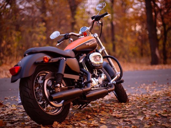 BigTwin Проект от Smola Choppers - Harley-Davidson Sportster XL 1200 