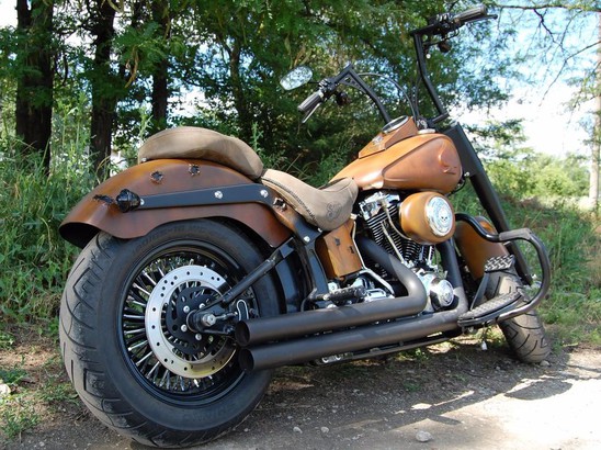 BigTwin Проект от Smola Choppers - Harley Davidson Softail FatBoy 2004 