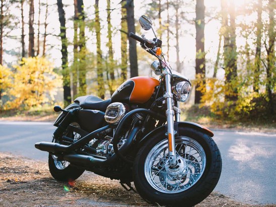 BigTwin Проект от Smola Choppers - Harley-Davidson Sportster XL 1200 