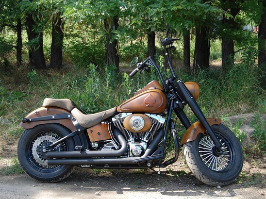 BigTwin Проект от Smola Choppers - Harley Davidson Softail FatBoy 2004 