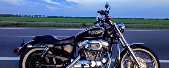 BigTwin Repair Gatage  Проект от Smola Choppers - Harley-Davidson Sportster XL 883