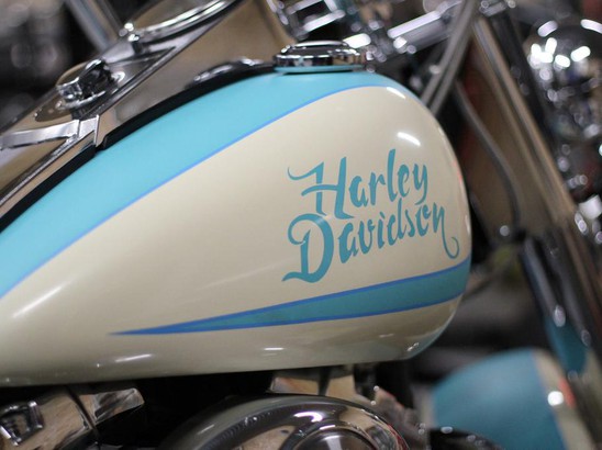 BigTwin Проект от Smola Choppers - Harley Davidson Softail Heritage 2006 