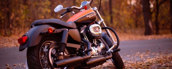 BigTwin Repair Gatage  Проект от Smola Choppers - Harley-Davidson Sportster XL 1200